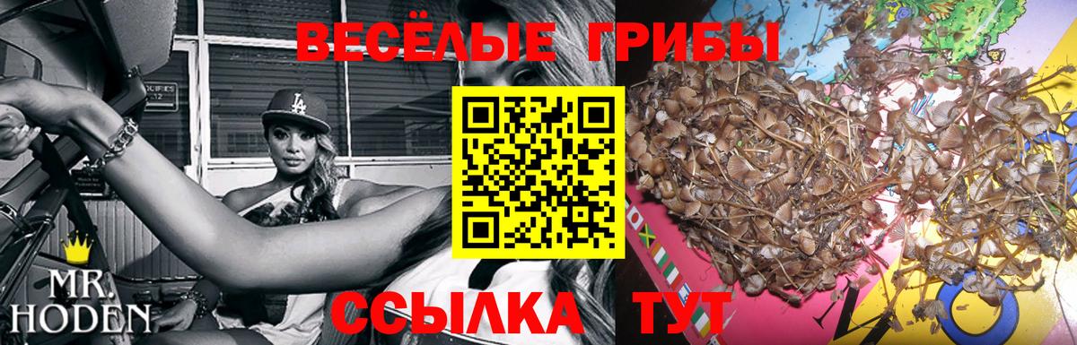 Набережные Челны  Галлюциногенные грибы мухоморы  Вход с VPN 