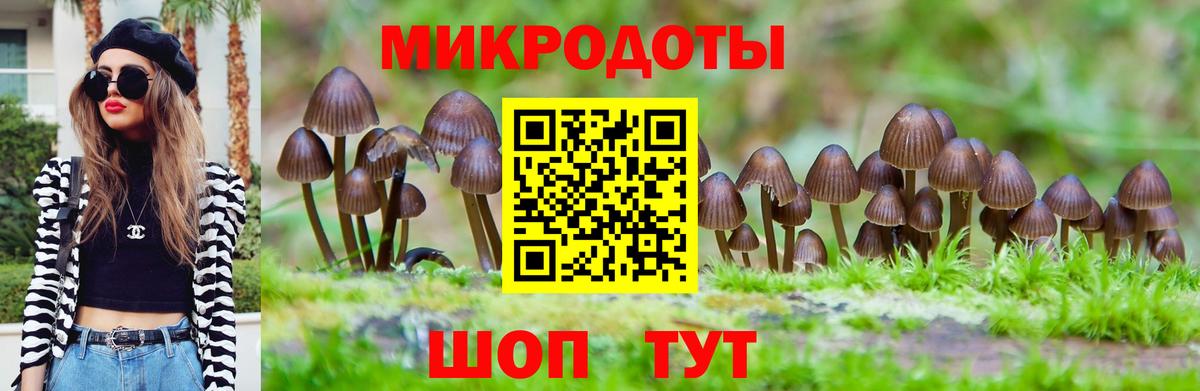 Галлюциногенные грибы Psilocybe Набережные Челны